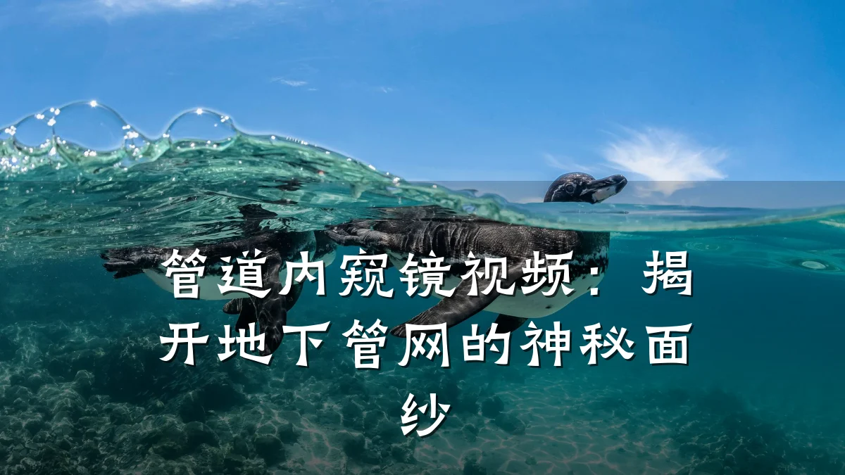 管道内窥镜视频:揭开地下管网的神秘面纱
