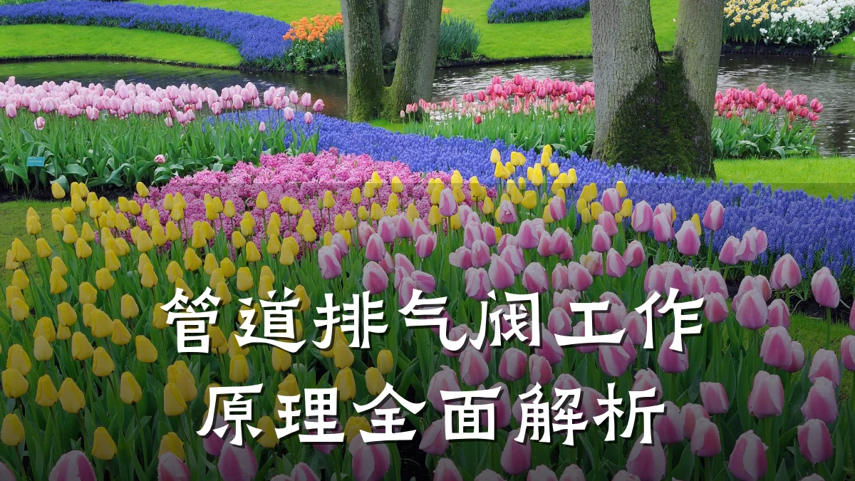 管道排气阀工作原理全面解析