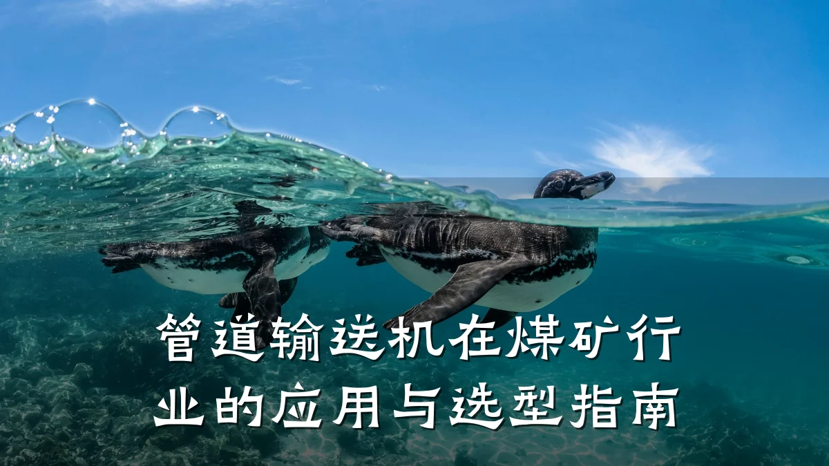 管道输送机在煤矿行业的应用与选型指南