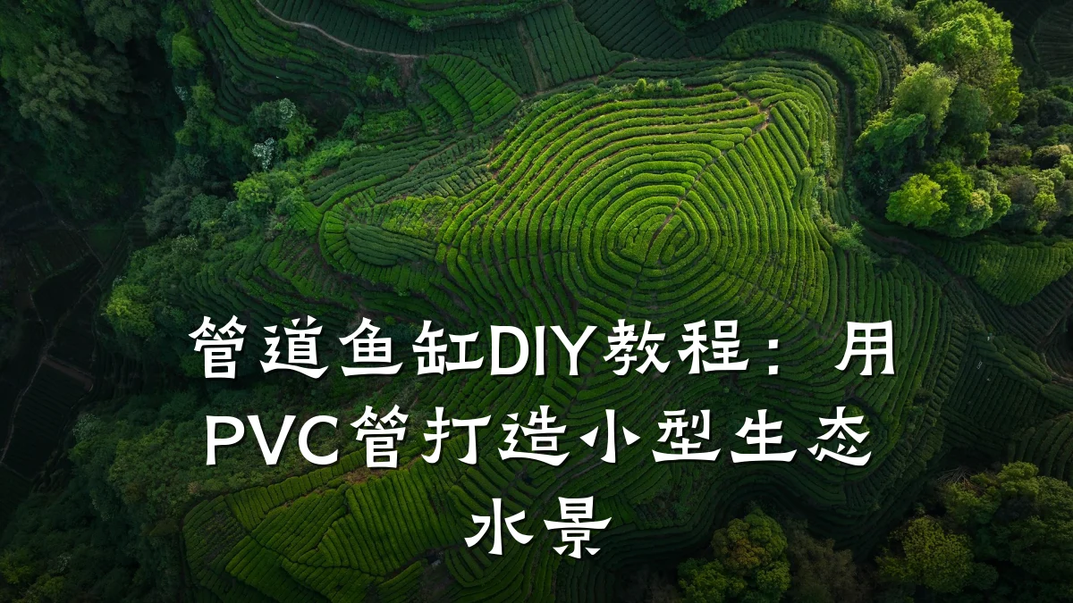 管道鱼缸DIY教程：用PVC管打造小型生态水景