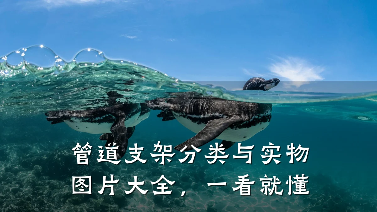 管道支架分类与实物图片大全,一看就懂