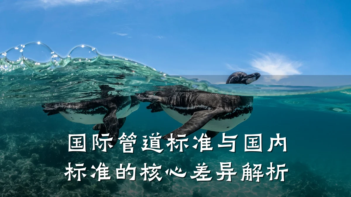 国际管道标准与国内标准的核心差异解析