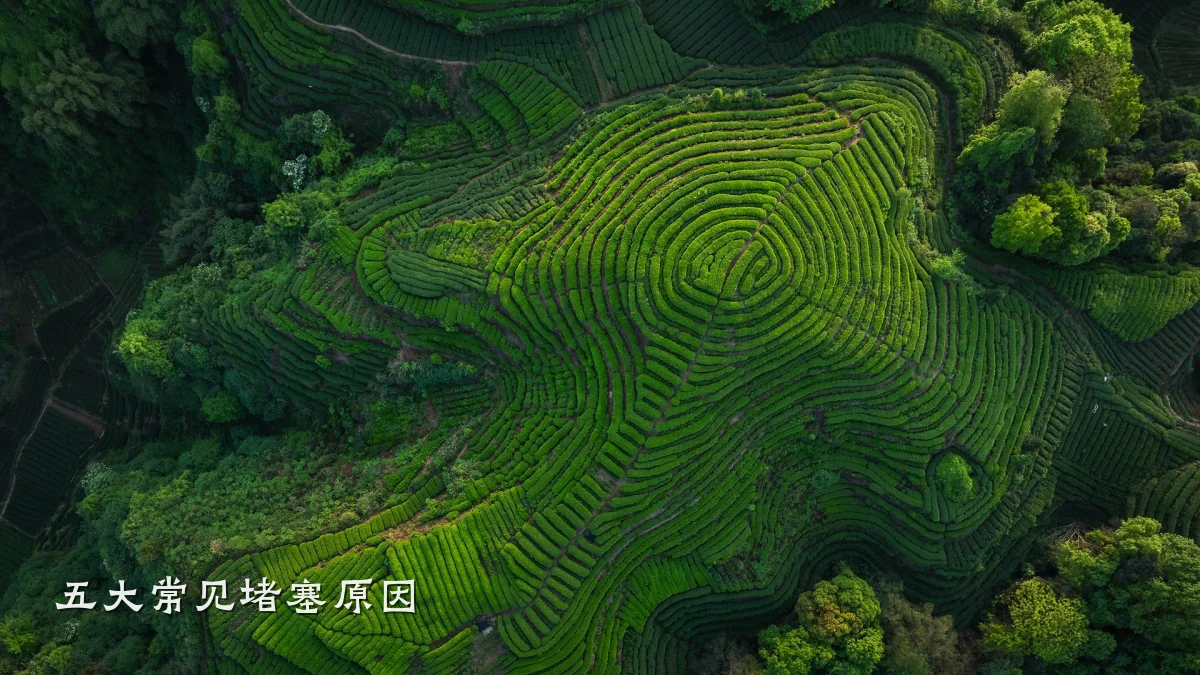 五大常见堵塞原因