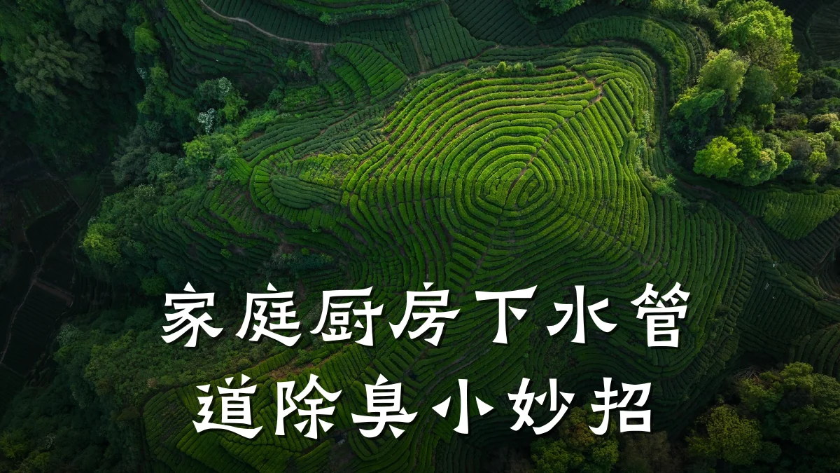 家庭厨房下水管道除臭小妙招