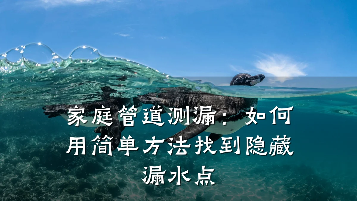 家庭管道测漏:如何用简单方法找到隐藏漏水点