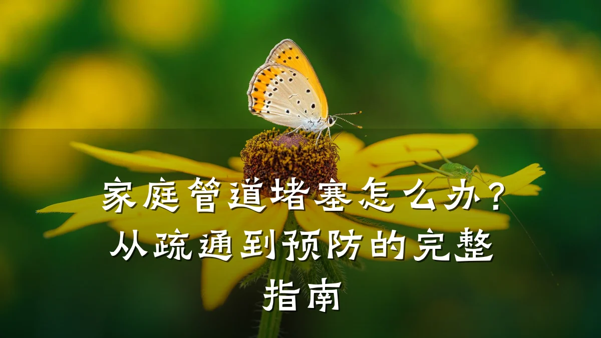 家庭管道堵塞怎么办?从疏通到预防的完整指南