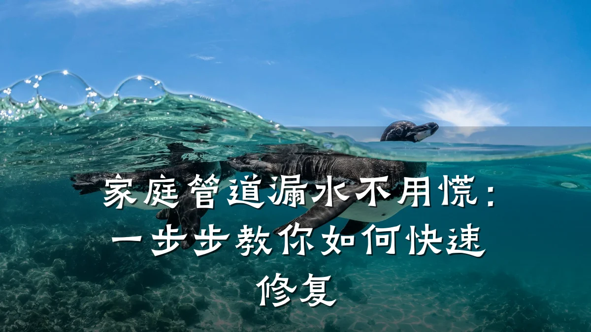 家庭管道漏水不用慌:一步步教你如何快速修复