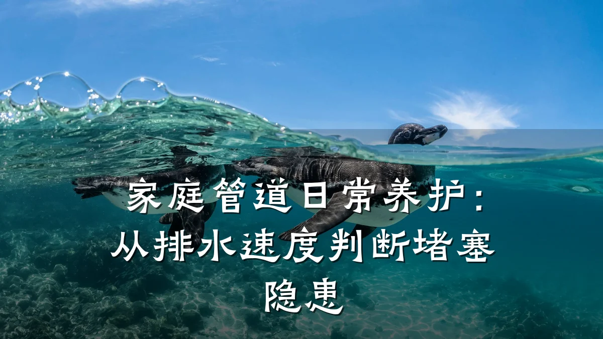 家庭管道日常养护:从排水速度判断堵塞隐患