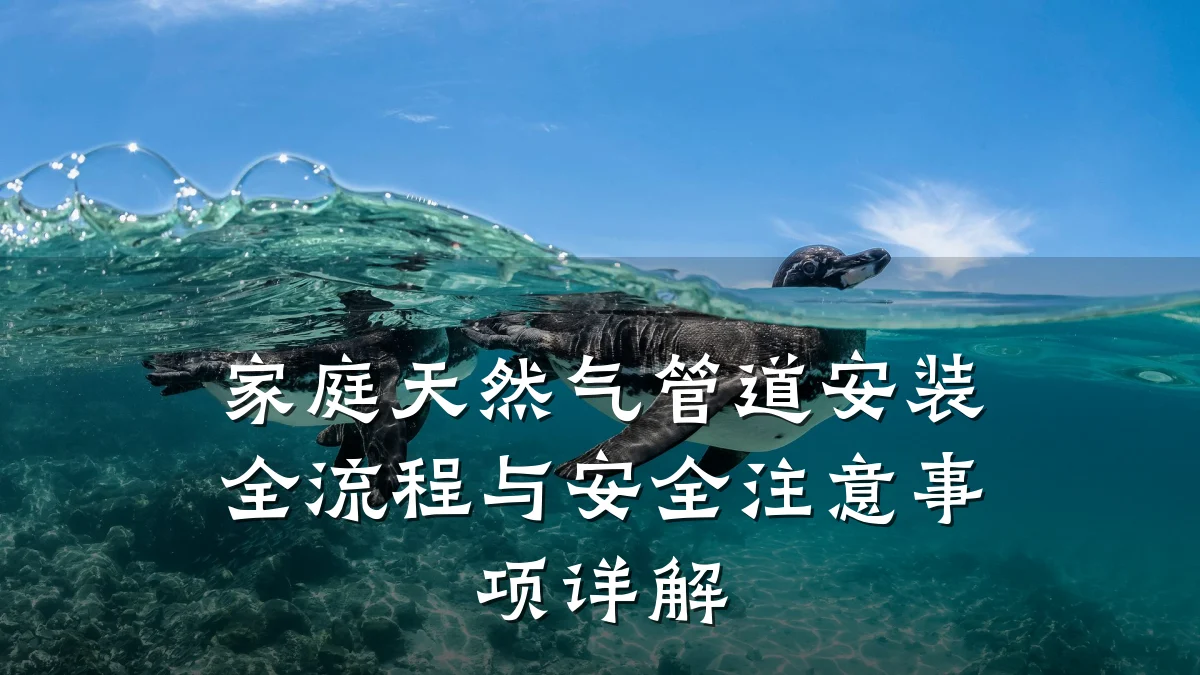 家庭天然气管道安装全流程与安全注意事项详解