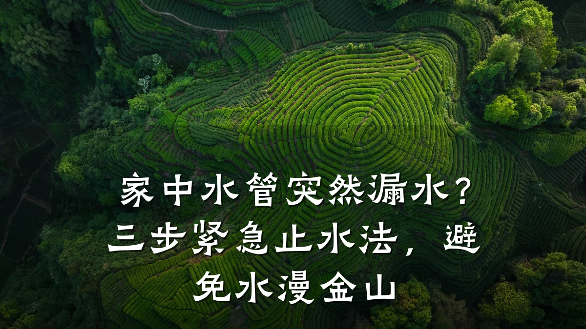 家中水管突然漏水?三步紧急止水法,避免水漫金山