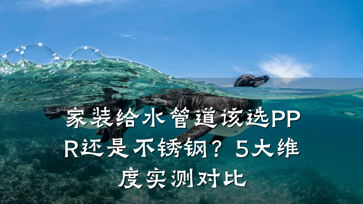 家装给水管道该选PPR还是不锈钢?5大维度实测对比