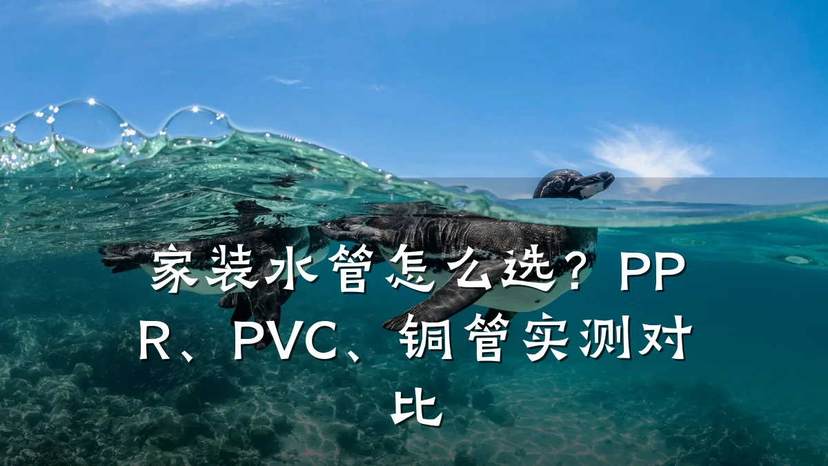 家装水管怎么选?PPR、PVC、铜管实测对比