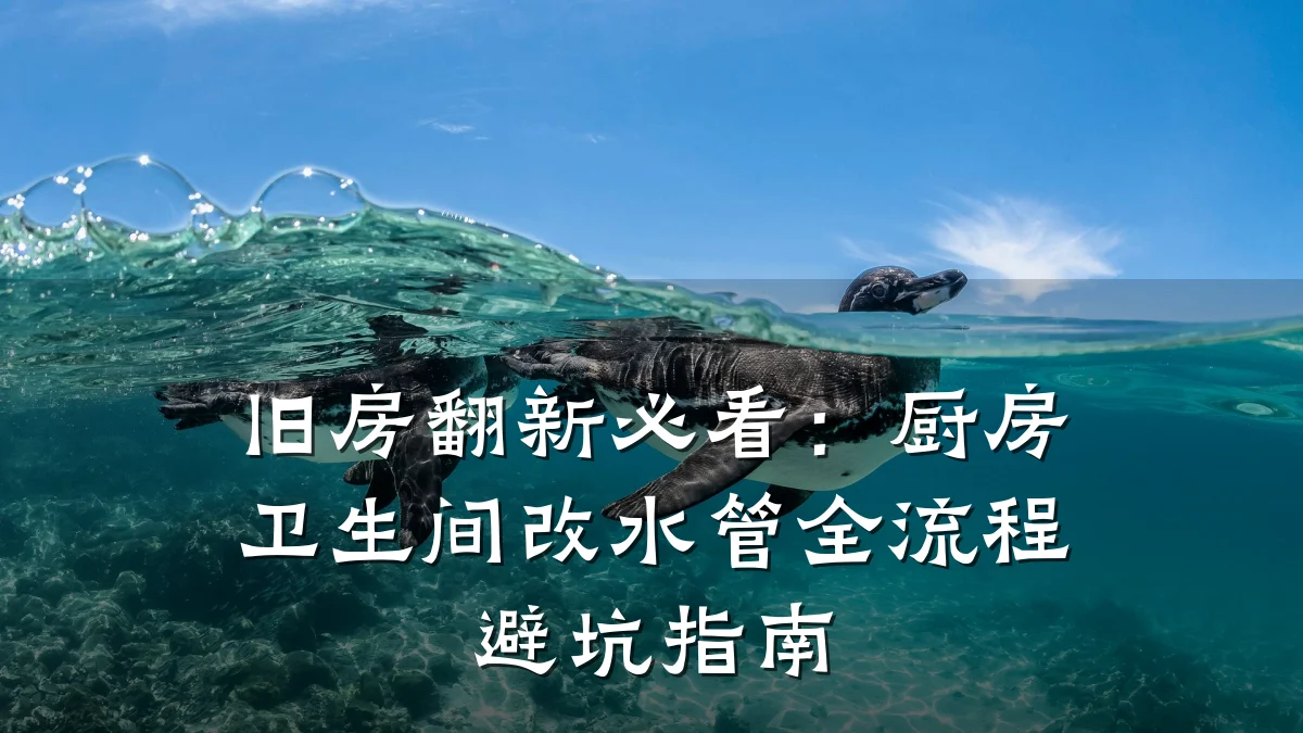 旧房翻新必看:厨房卫生间改水管全流程避坑指南