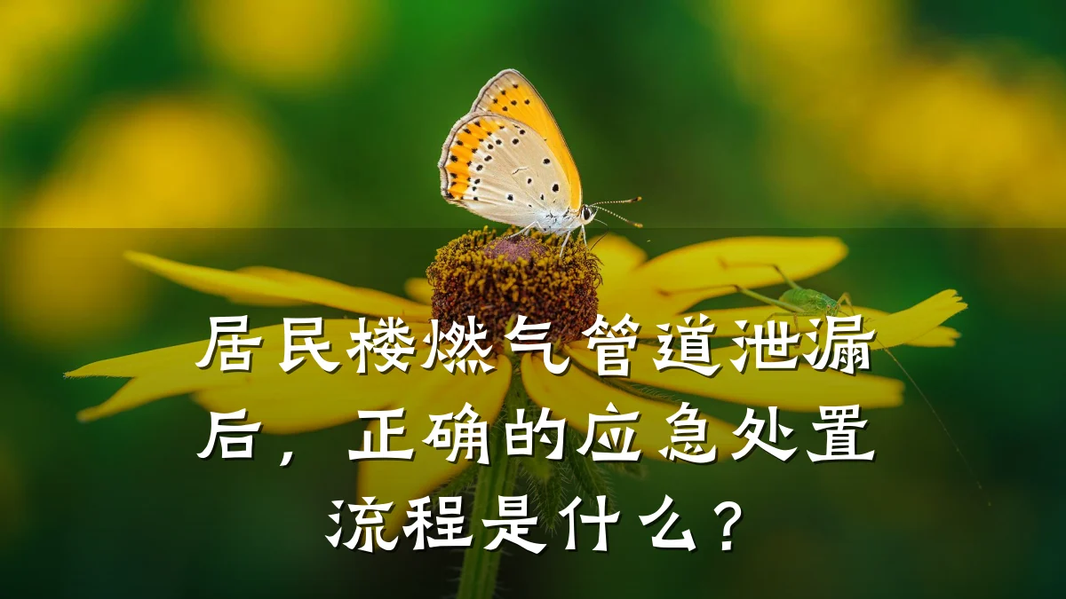 居民楼燃气管道泄漏后,正确的应急处置流程是什么?