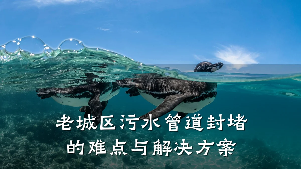 老城区污水管道封堵的难点与解决方案