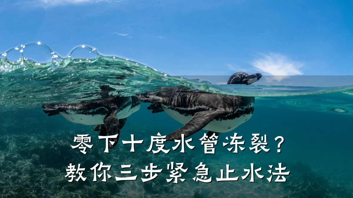 零下十度水管冻裂?教你三步紧急止水法