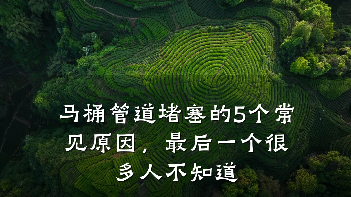马桶管道堵塞的5个常见原因,最后一个很多人不知道