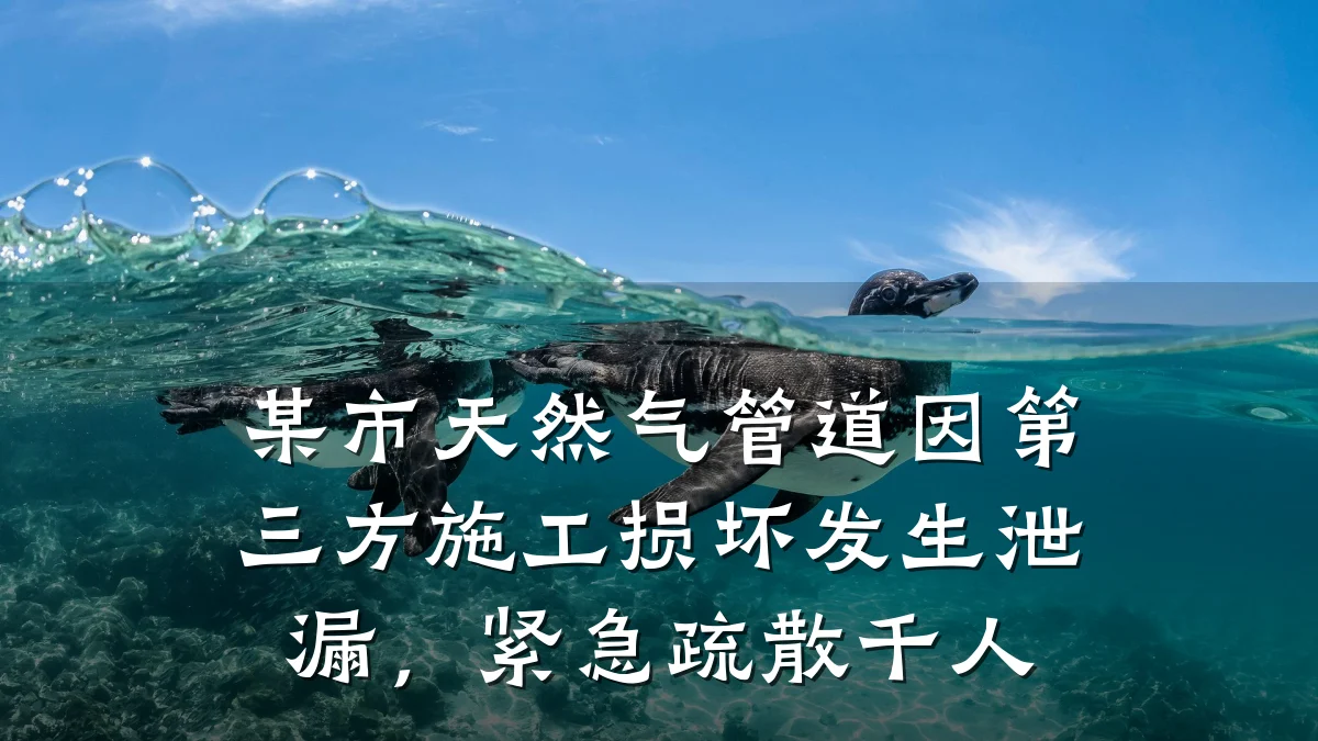 某市天然气管道因第三方施工损坏发生泄漏,紧急疏散千人