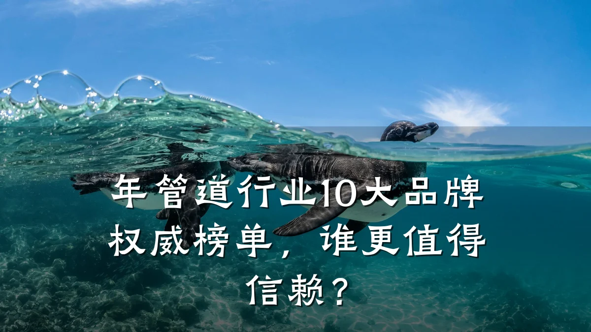 年管道行业10大品牌权威榜单，谁更值得信赖？