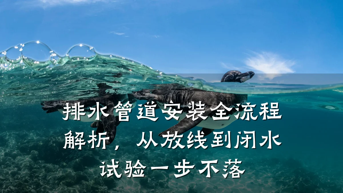 排水管道安装全流程解析,从放线到闭水试验一步不落