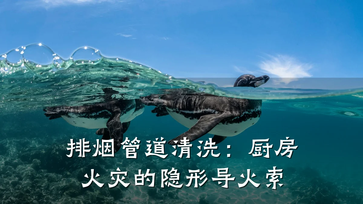 排烟管道清洗:厨房火灾的隐形导火索