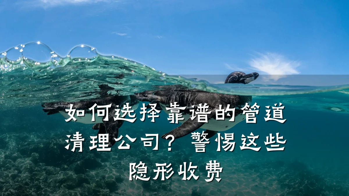 如何选择靠谱的管道清理公司?警惕这些隐形收费
