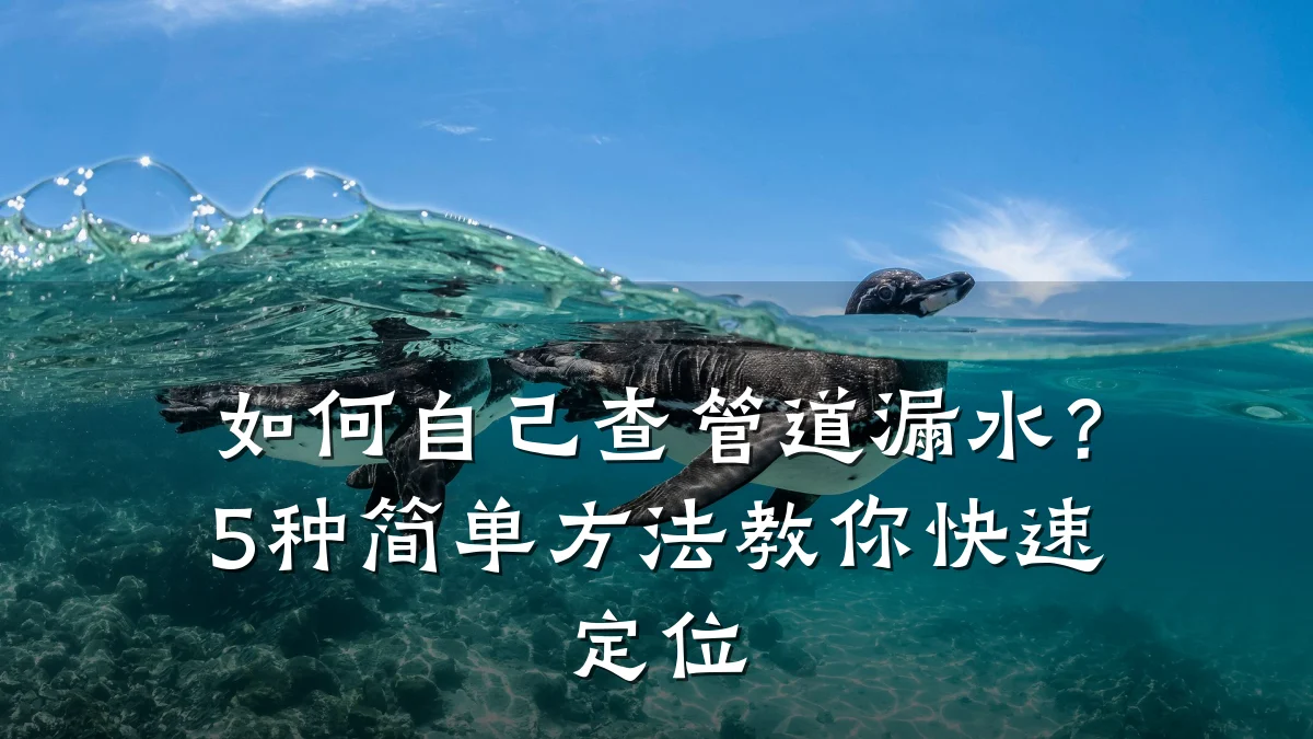 如何自己查管道漏水?5种简单方法教你快速定位