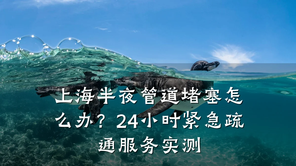 上海半夜管道堵塞怎么办?24小时紧急疏通服务实测