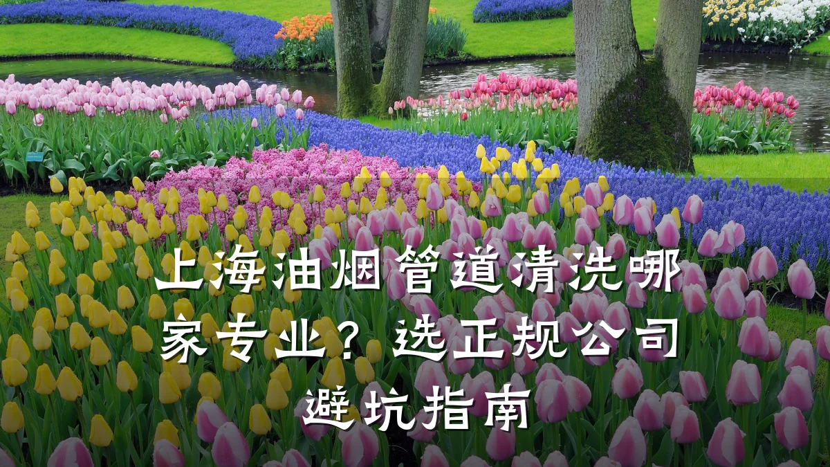 上海油烟管道清洗哪家专业?选正规公司避坑指南