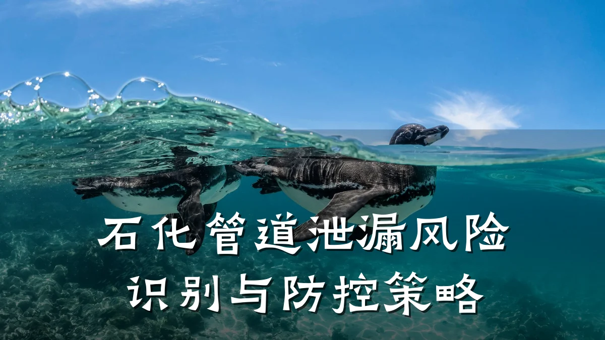 石化管道泄漏风险识别与防控策略