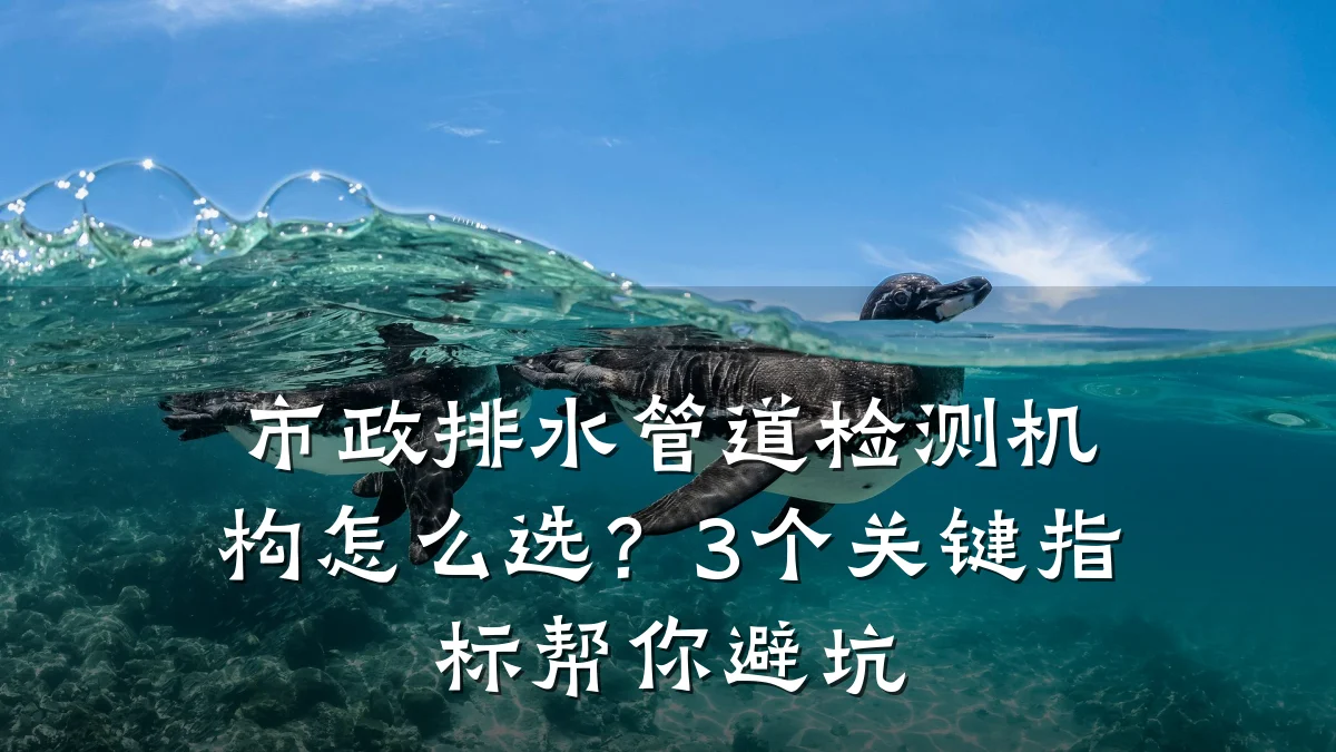 市政排水管道检测机构怎么选?3个关键指标帮你避坑