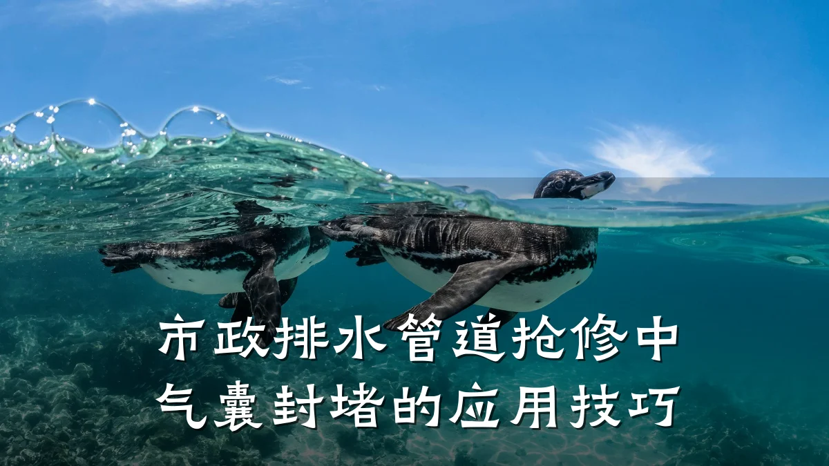 市政排水管道抢修中气囊封堵的应用技巧