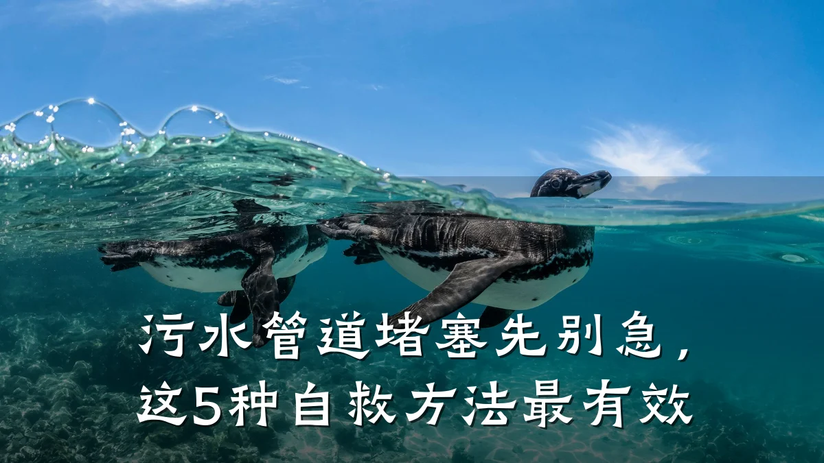 污水管道堵塞先别急,这5种自救方法最有效