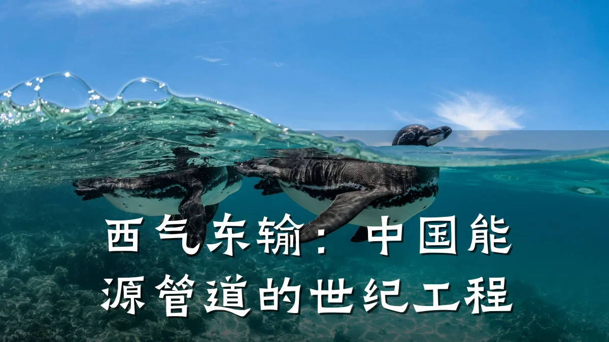 西气东输:中国能源管道的世纪工程