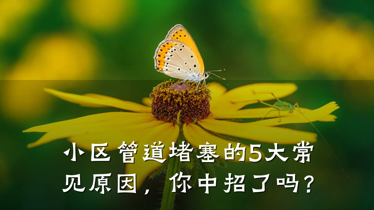 小区管道堵塞的5大常见原因,你中招了吗?