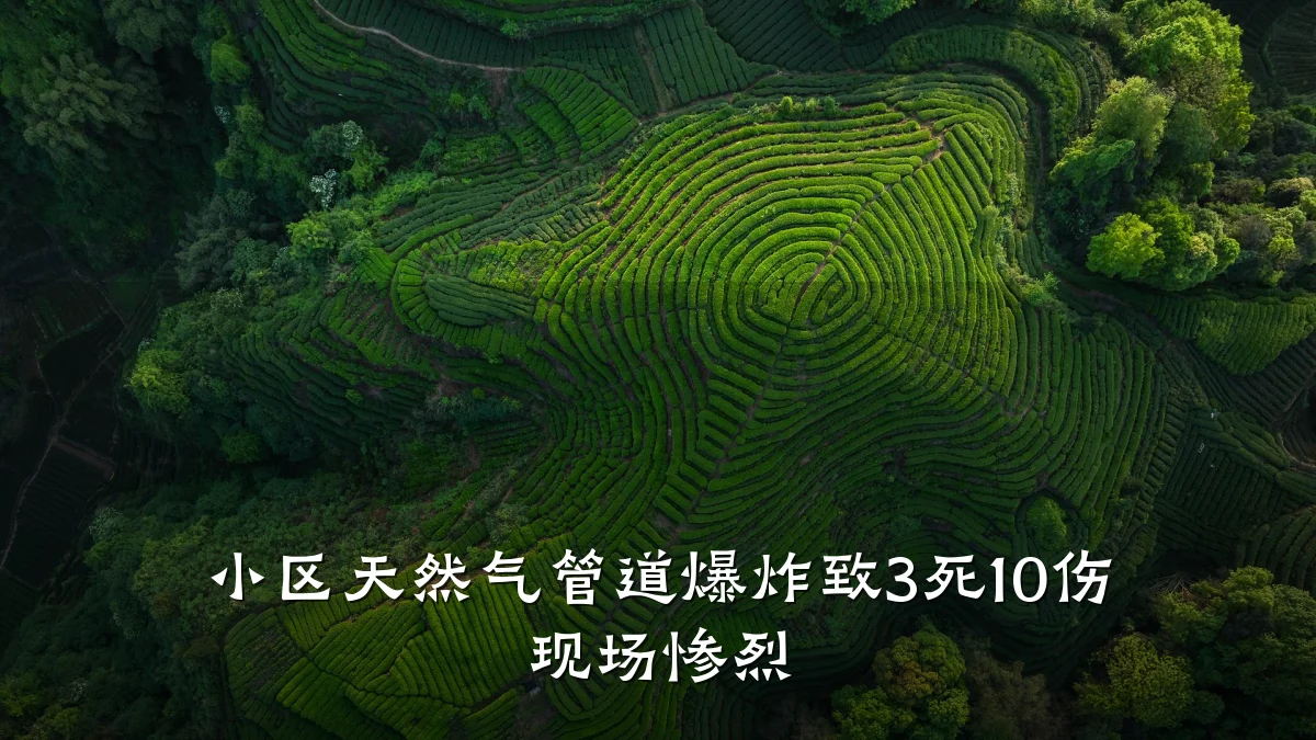 小区天然气管道爆炸致3死10伤 现场惨烈