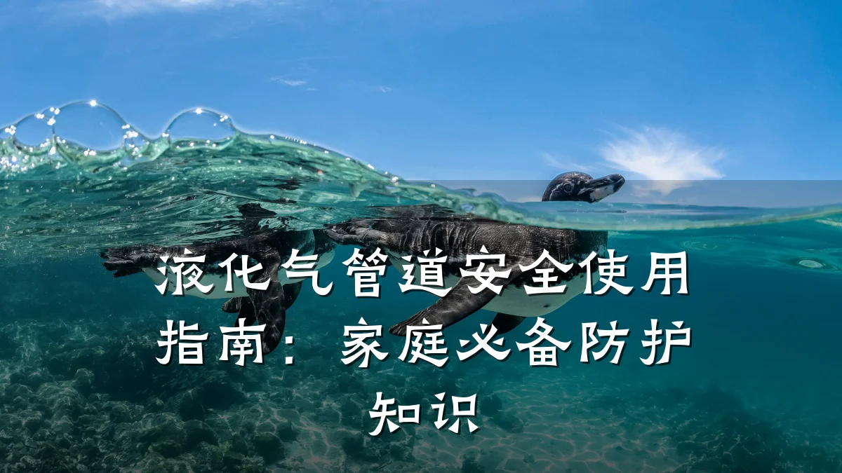 液化气管道安全使用指南:家庭必备防护知识