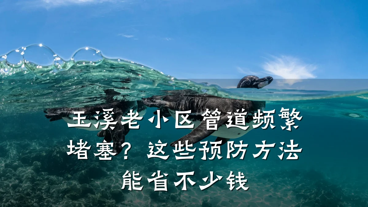 玉溪老小区管道频繁堵塞?这些预防方法能省不少钱