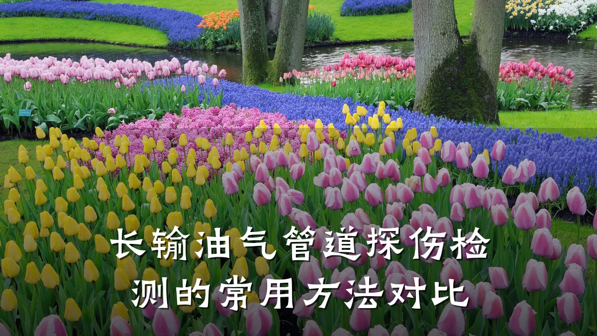 长输油气管道探伤检测的常用方法对比
