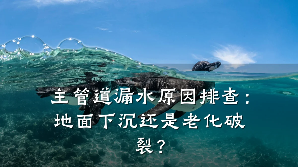 主管道漏水原因排查:地面下沉还是老化破裂?
