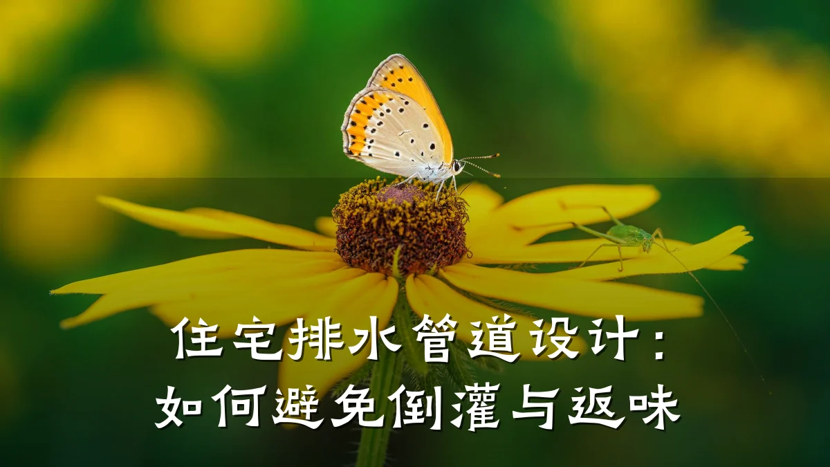 住宅排水管道设计:如何避免倒灌与返味