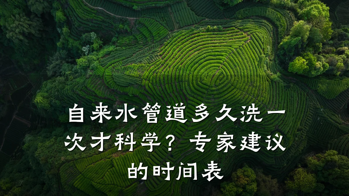 自来水管道多久洗一次才科学?专家建议的时间表
