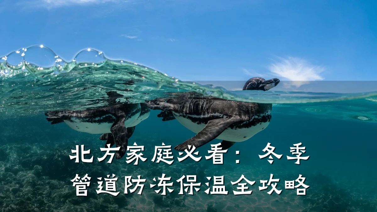 北方家庭必看:冬季管道防冻保温全攻略