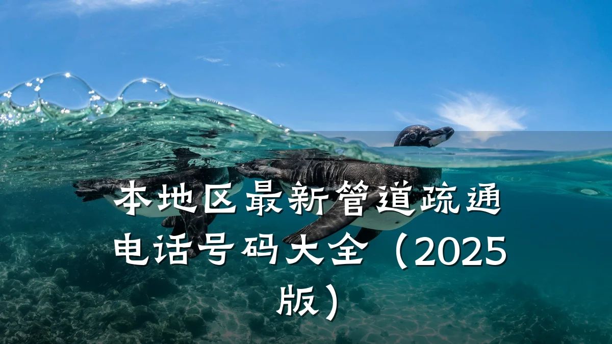 本地区最新管道疏通电话号码大全(2025版)