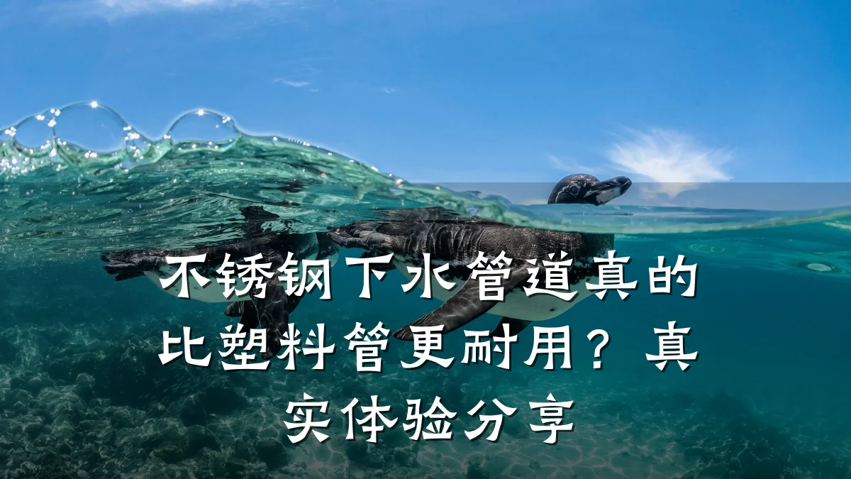 不锈钢下水管道真的比塑料管更耐用?真实体验分享