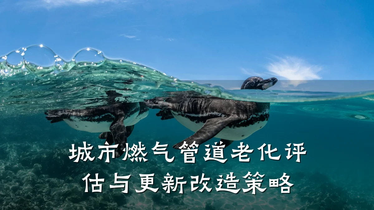 城市燃气管道老化评估与更新改造策略