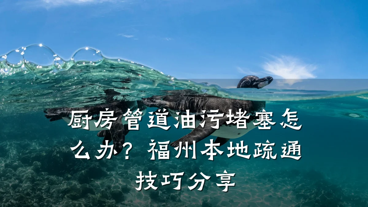 厨房管道油污堵塞怎么办？福州本地疏通技巧分享