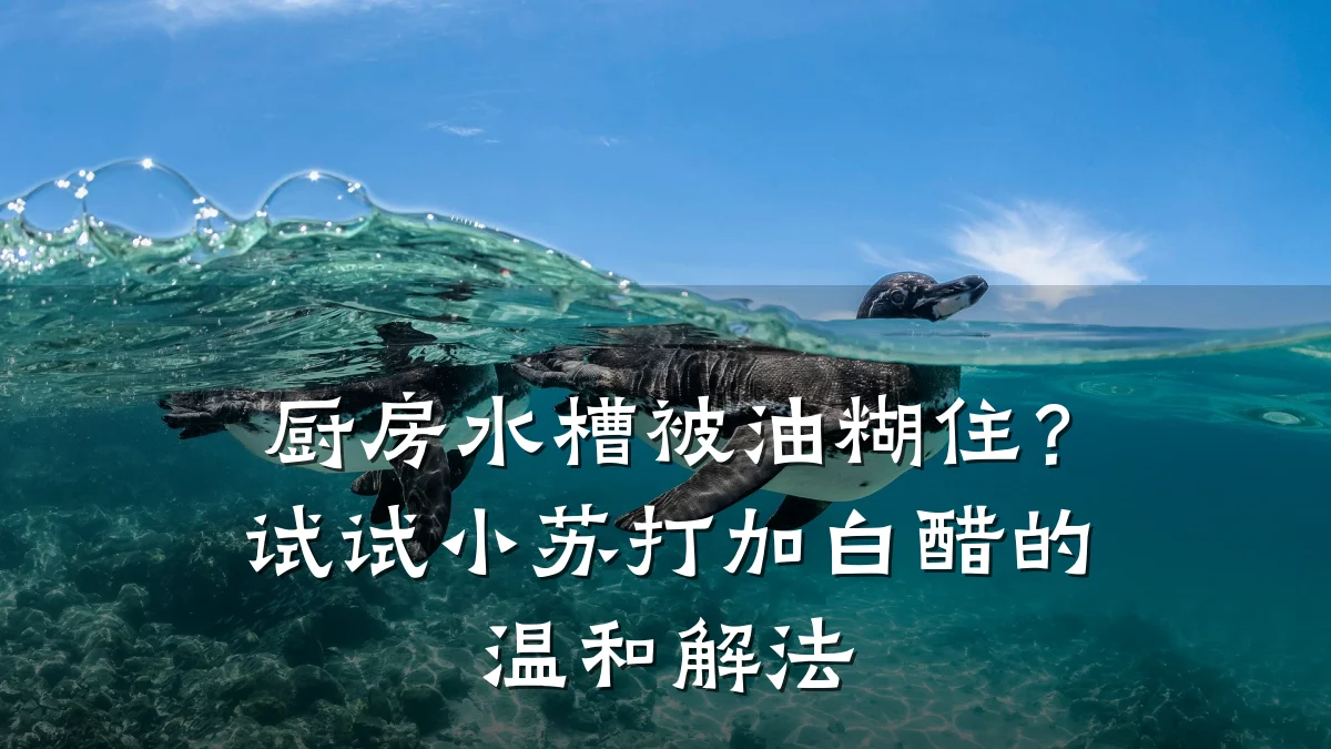 厨房水槽被油糊住?试试小苏打加白醋的温和解法