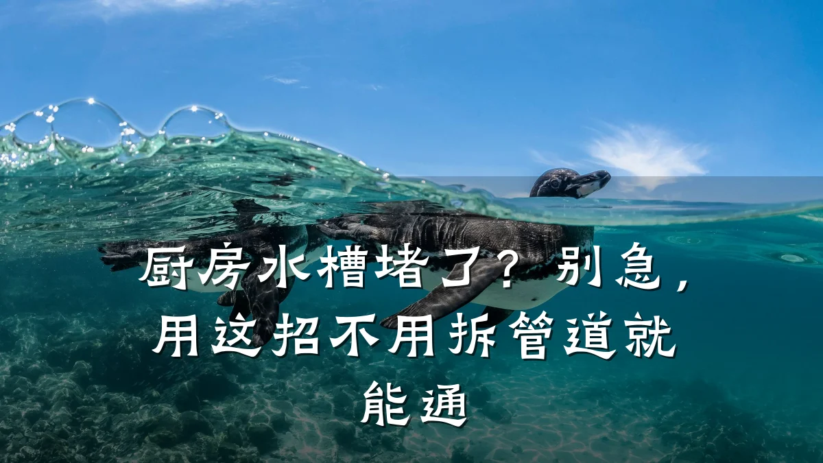 厨房水槽堵了?别急,用这招不用拆管道就能通