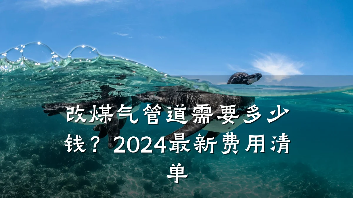 改煤气管道需要多少钱?2024最新费用清单